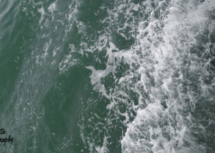 Rowing