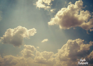 Rays!