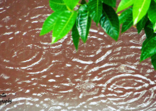 Droplets!