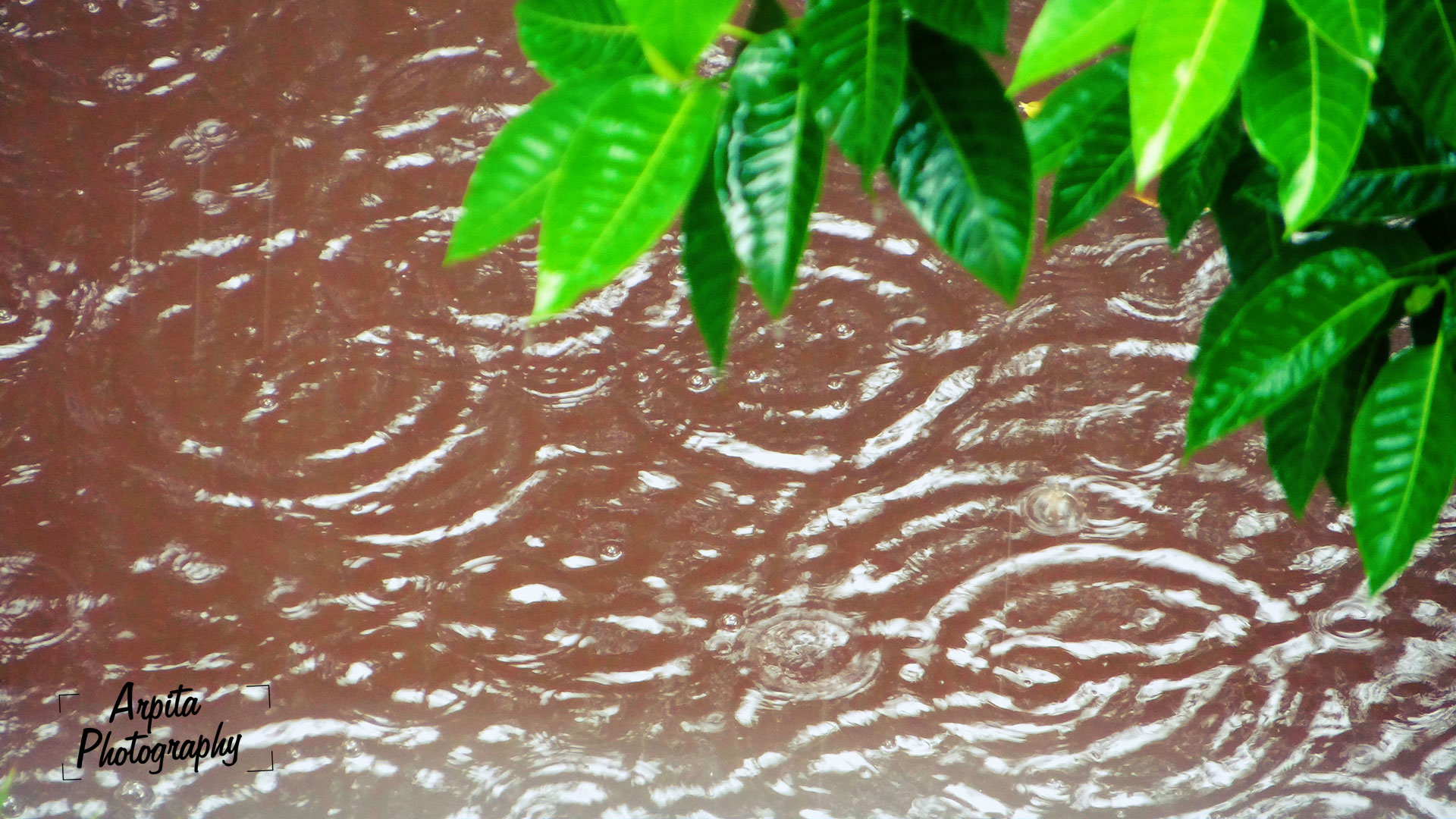 Droplets!