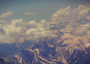 Snow Paradise!